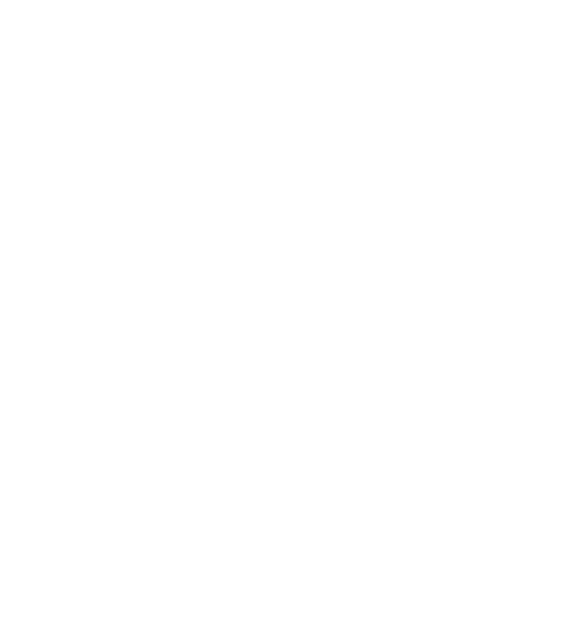 Cyber Essentials